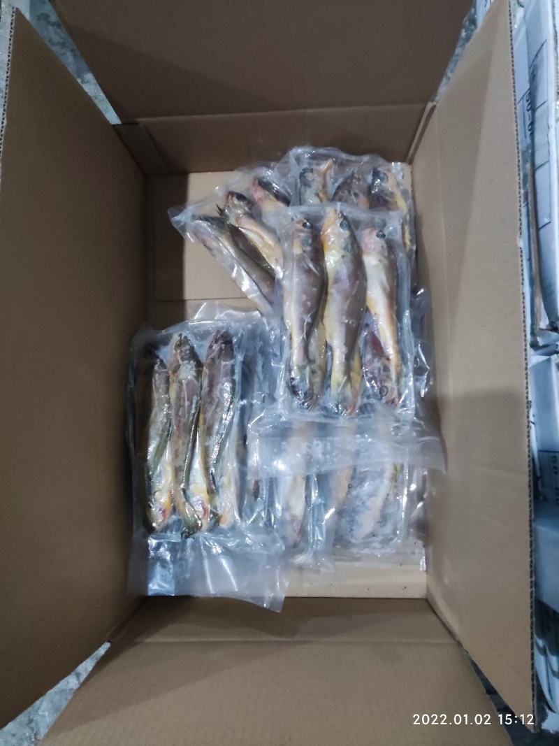 小黄花鱼黄花鱼新鲜海捕真空包装各种规格都有