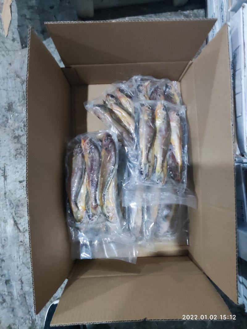 小黄花鱼黄花鱼新鲜海捕真空包装各种规格都有