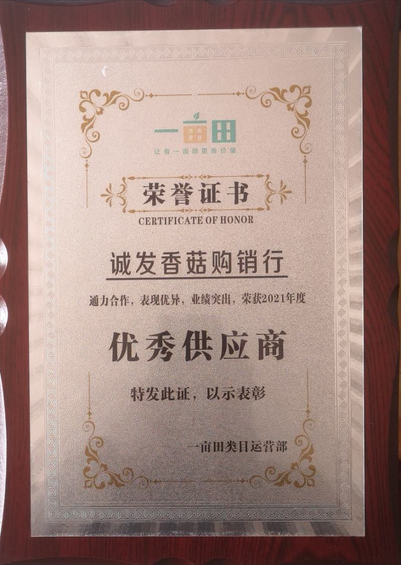 （干香菇）河南产地春栽2到5公分成品分级光面菇，包邮。