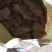 新鲜干鸡粪，纯鸡粪，预约清理，实物图片，