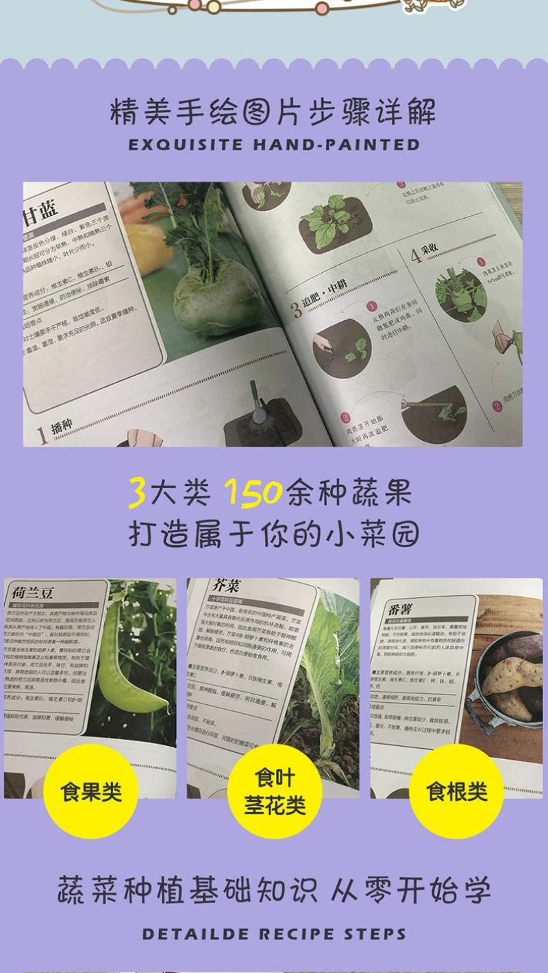 手把手教你种蔬菜图说蔬菜栽培技术蔬菜栽培种植技术大全