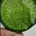 山东萝卜-水果萝卜精品箱装袋装大量供应，质量好，价格便宜