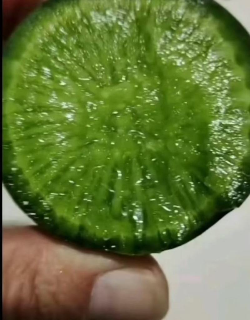 山东萝卜-水果萝卜精品箱装袋装大量供应，质量好，价格便宜
