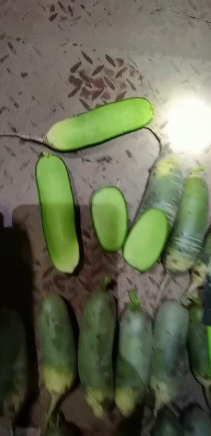 山东萝卜-水果萝卜精品箱装袋装大量供应，质量好，价格便宜