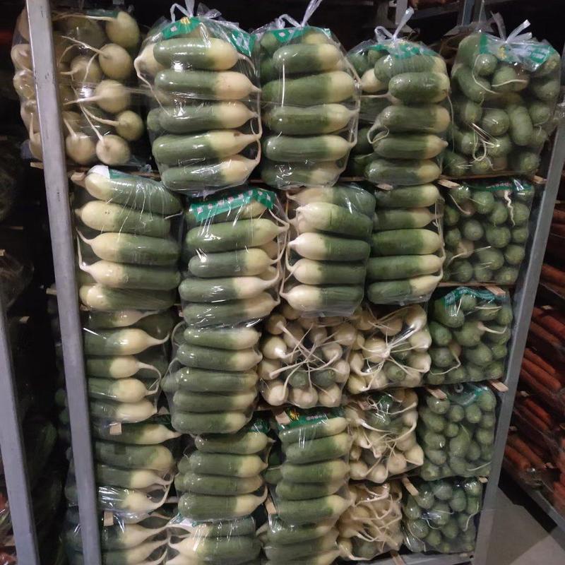 山东萝卜-水果萝卜精品箱装袋装大量供应，质量好，价格便宜