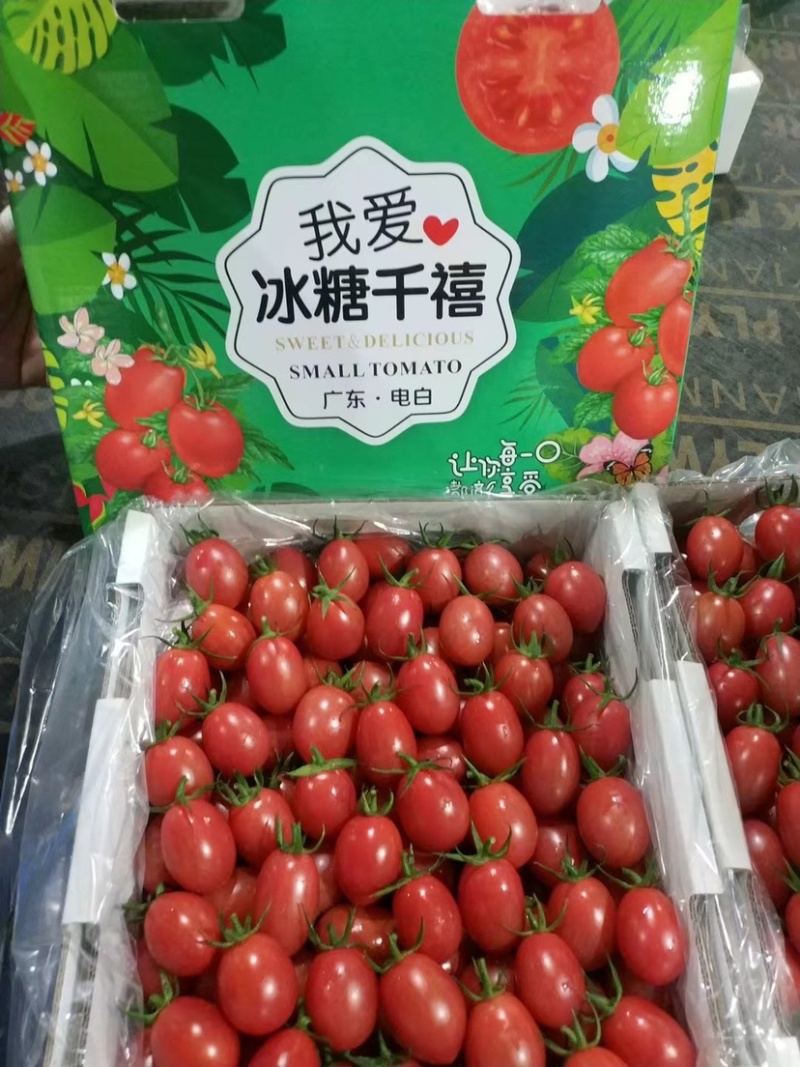 广东−电白千禧.1号珍珠小果，产地直供，社区，商超。