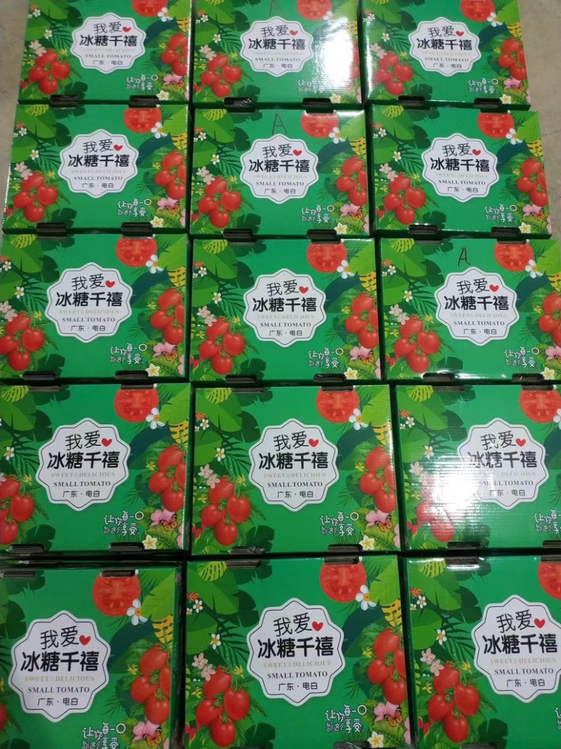广东−电白千禧.1号珍珠小果，产地直供，社区，商超。