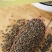 沙苑子中药材沙苑子茶潼蒺藜沙苑蒺藜可磨沙苑
