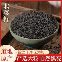 韭菜籽中药材野生炒熟韭菜籽粉韭菜子