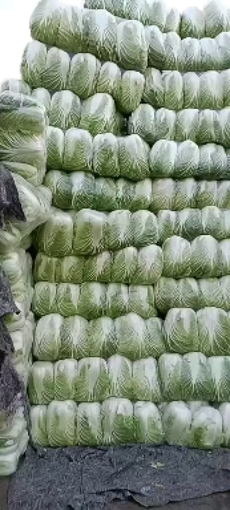 邯郸市，大量供应大白菜，一手货源，产地直发诚信经营