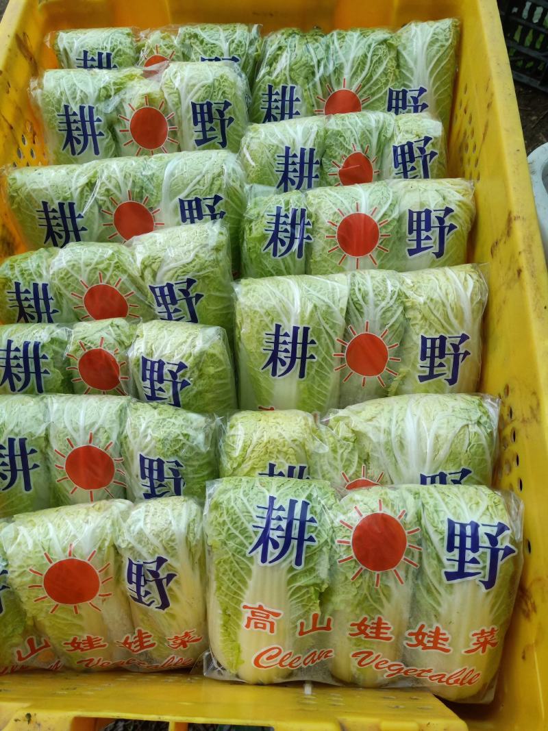 娃娃菜