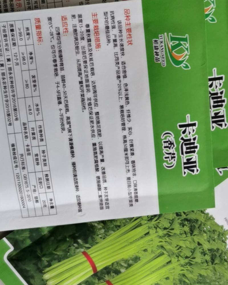 卡迪亚香芹种子小芹菜抗病实心纤维少香味特浓基地专用