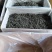 【包邮代发】普洱茶，高海拔古树茶，干净甘醇山间古树混采