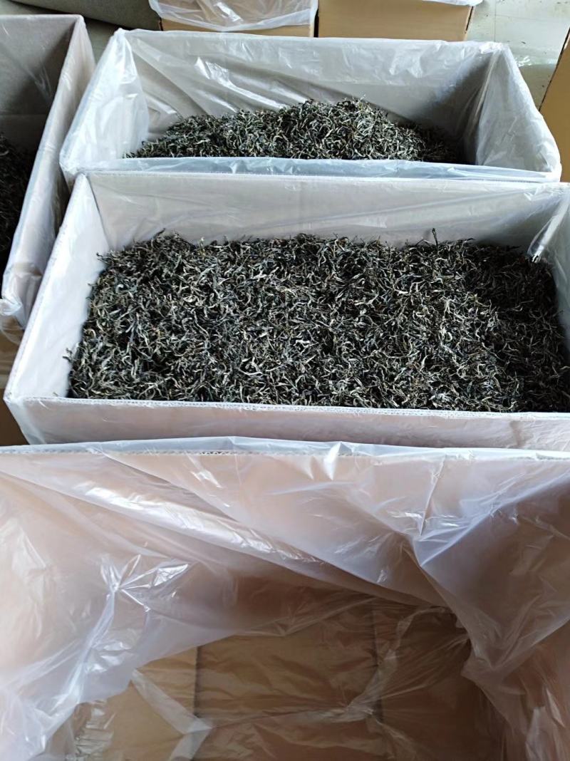 【包邮代发】普洱茶，高海拔古树茶，干净甘醇山间古树混采
