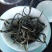 【包邮代发】普洱茶，高海拔古树茶，干净甘醇山间古树混采