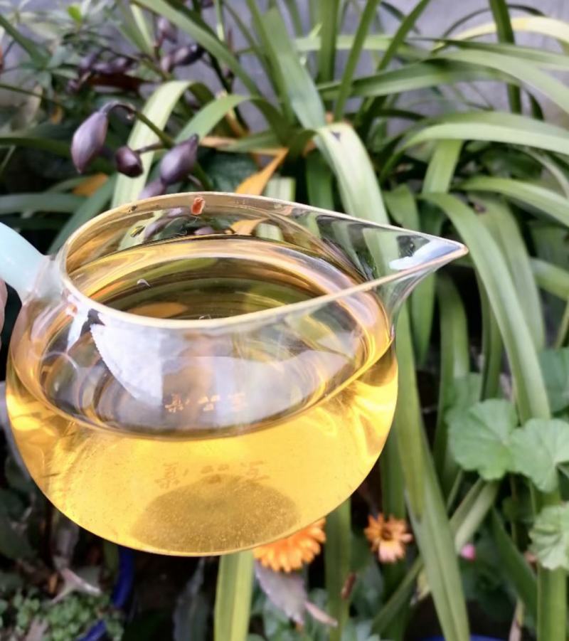 【包邮代发】普洱茶，高海拔古树茶，干净甘醇山间古树混采