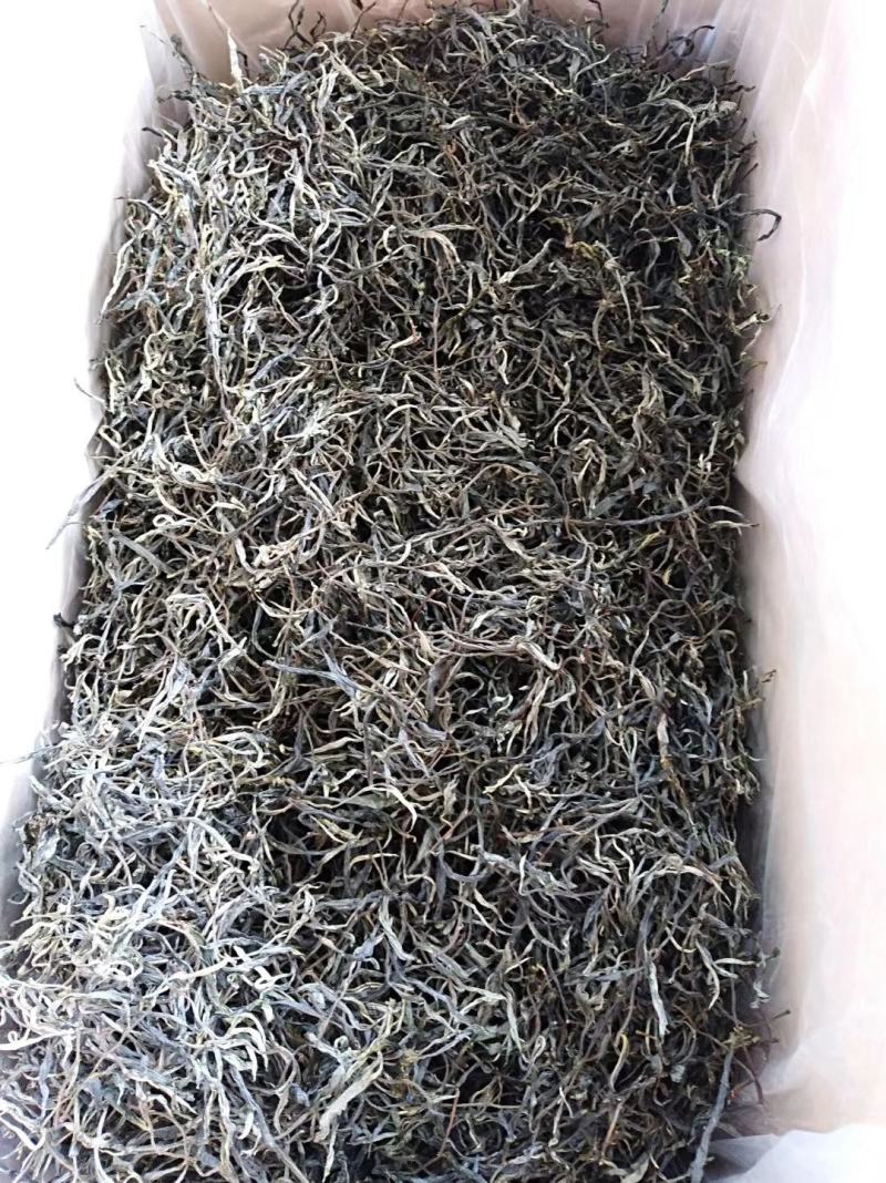 【包邮代发】普洱茶，高海拔古树茶，干净甘醇山间古树混采