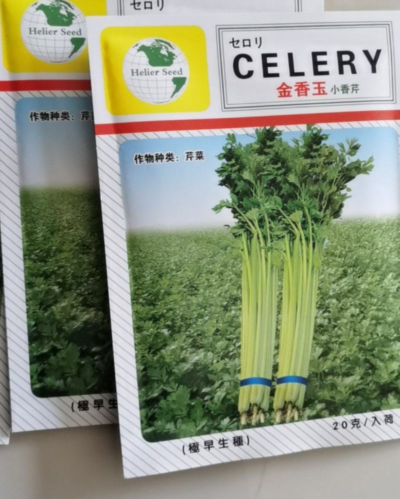 金香玉小芹菜种子芹菜种子夏季耐热黄心宽厚脆绿四季种植