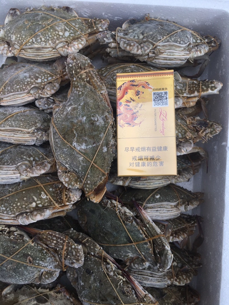 梭子蟹。一级靓货。产地直供。天然无污染绿色食品