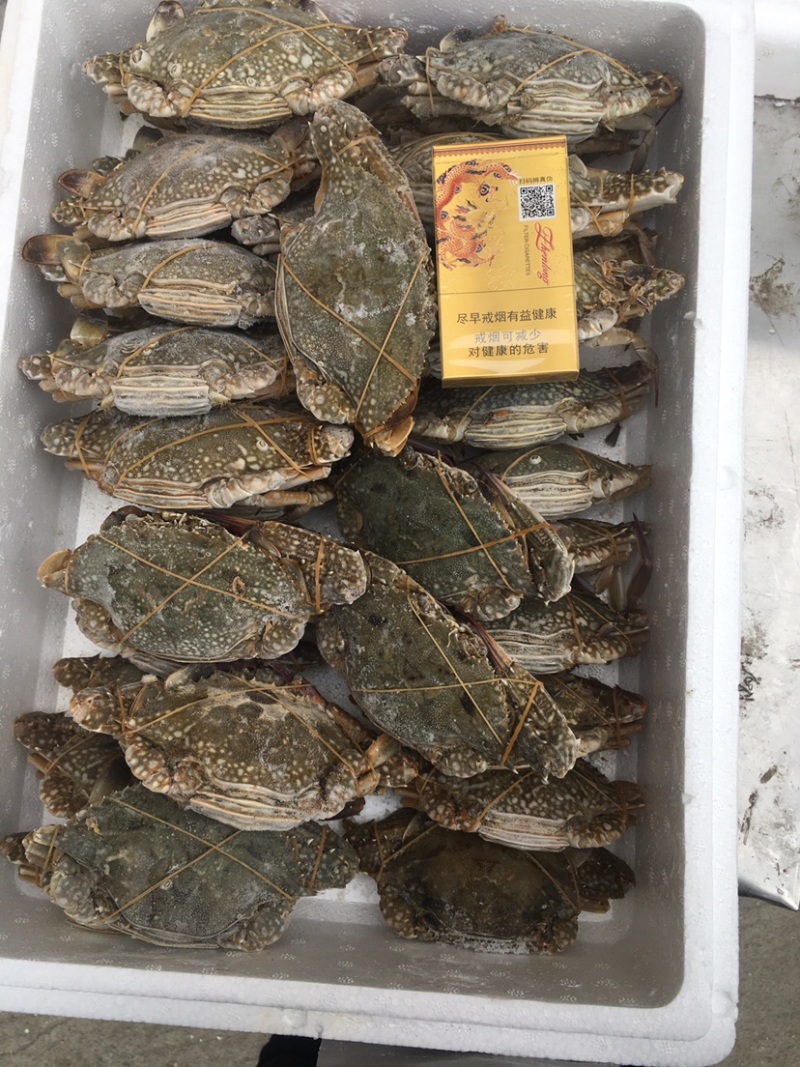 梭子蟹。一级靓货。产地直供。天然无污染绿色食品