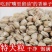 新货麻子现炒大粒香麻子颗粒生熟干炒五香火麻子麻籽整箱包邮