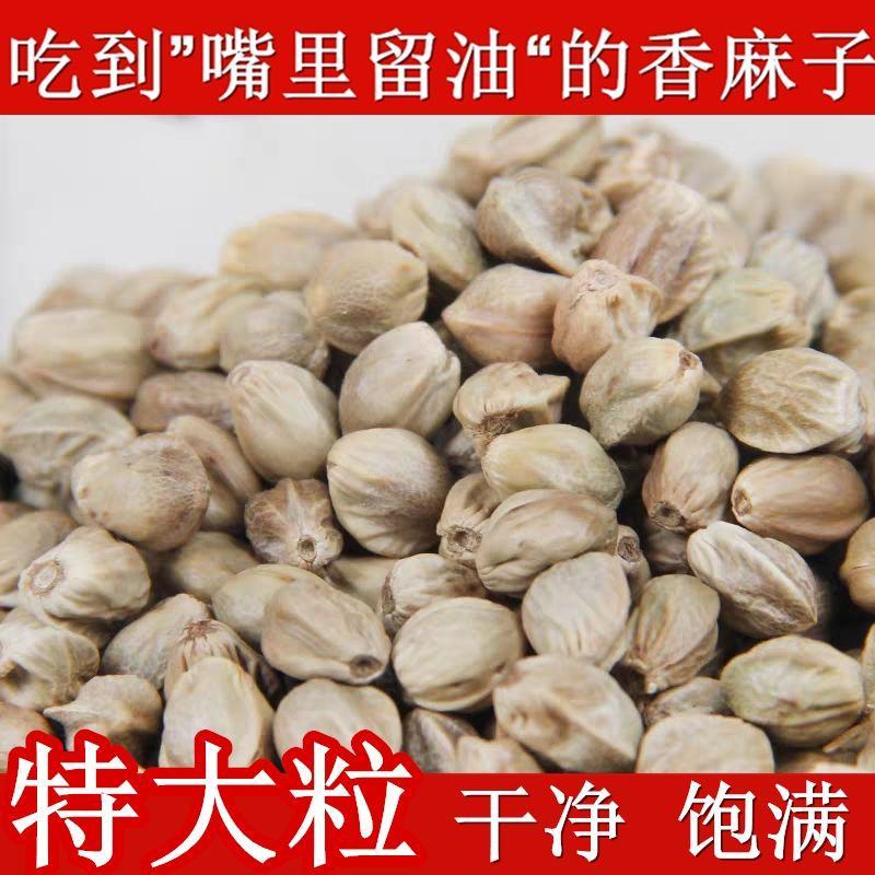 新货麻子现炒大粒香麻子颗粒生熟干炒五香火麻子麻籽整箱包邮