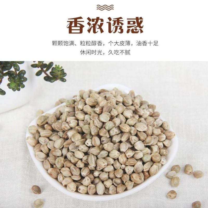 新货麻子现炒大粒香麻子颗粒生熟干炒五香火麻子麻籽整箱包邮