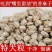 新货麻子现炒大粒香麻子颗粒生熟干炒五香火麻子麻籽整箱包邮