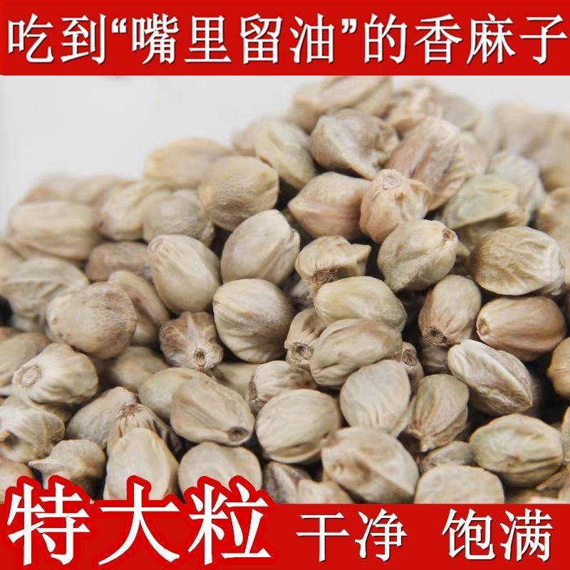 新货麻子现炒大粒香麻子颗粒生熟干炒五香火麻子麻籽整箱包邮