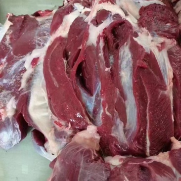梅花鹿鲜鹿肉活鹿现杀温性低脂，吉林双阳鹿场量大从优！
