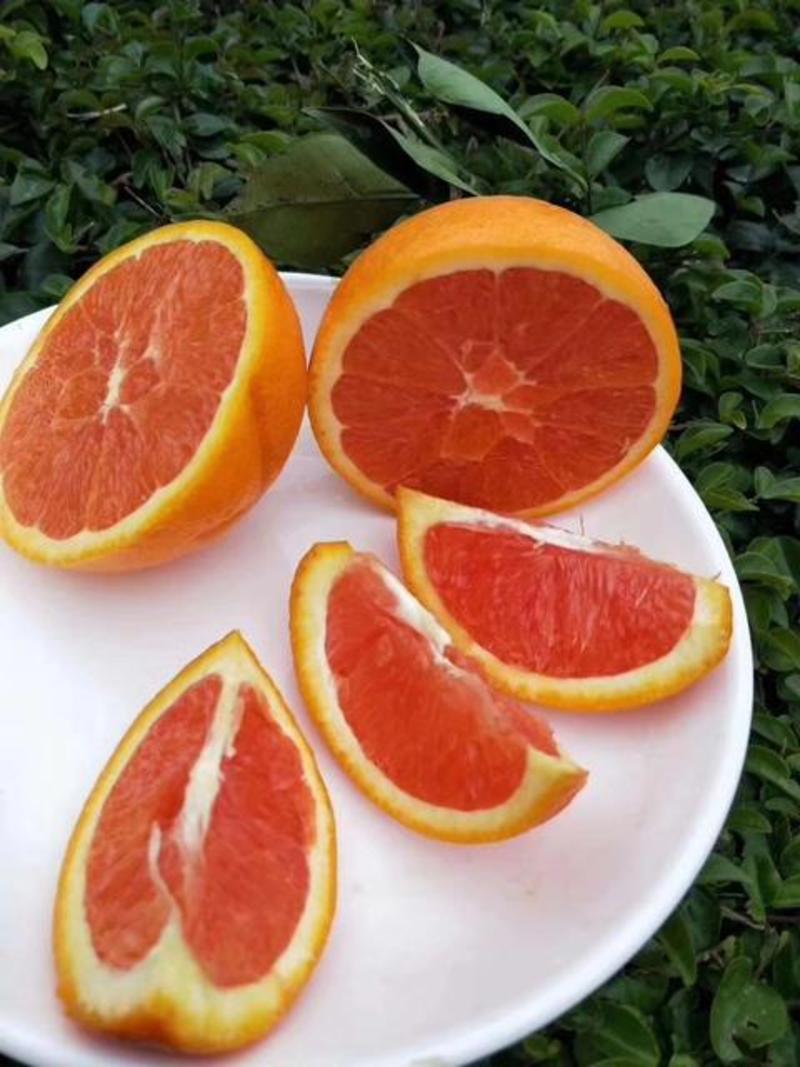 湖北秭归中华红橙子血橙水分充足口感纯甜对接果农包园子看货
