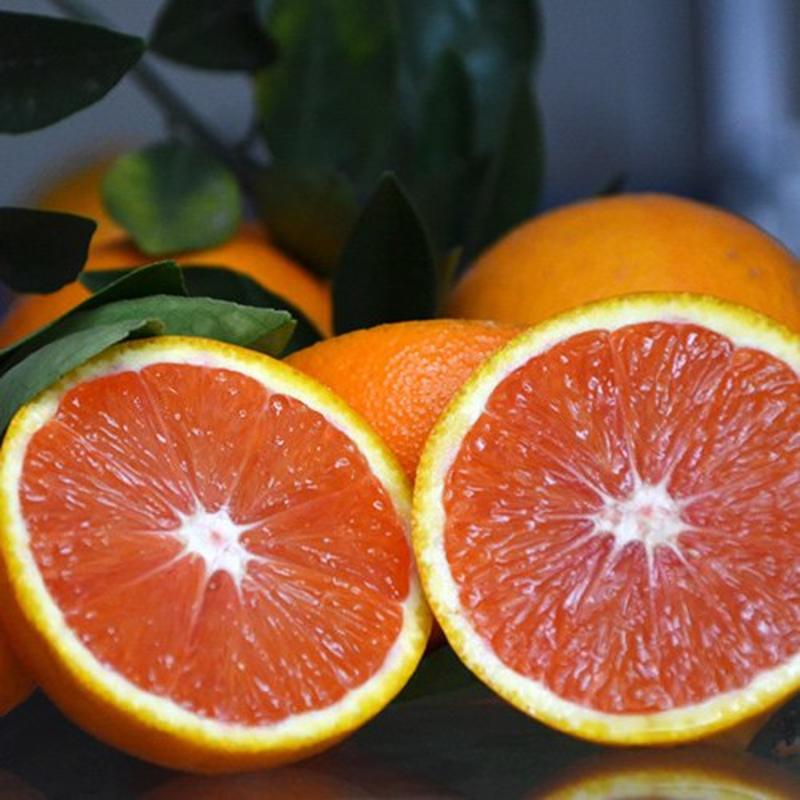 湖北秭归中华红橙子血橙水分充足口感纯甜对接果农包园子看货