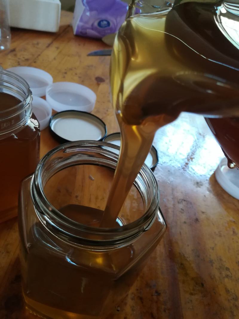 云南西盟高山土蜂蜜