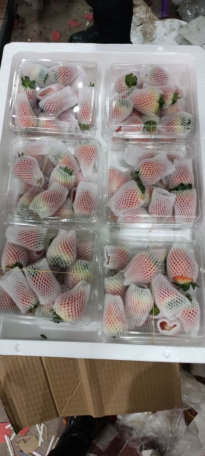 阜阳草莓，天仙醉，也就是徐州妙香，奶油草莓，包装都有
