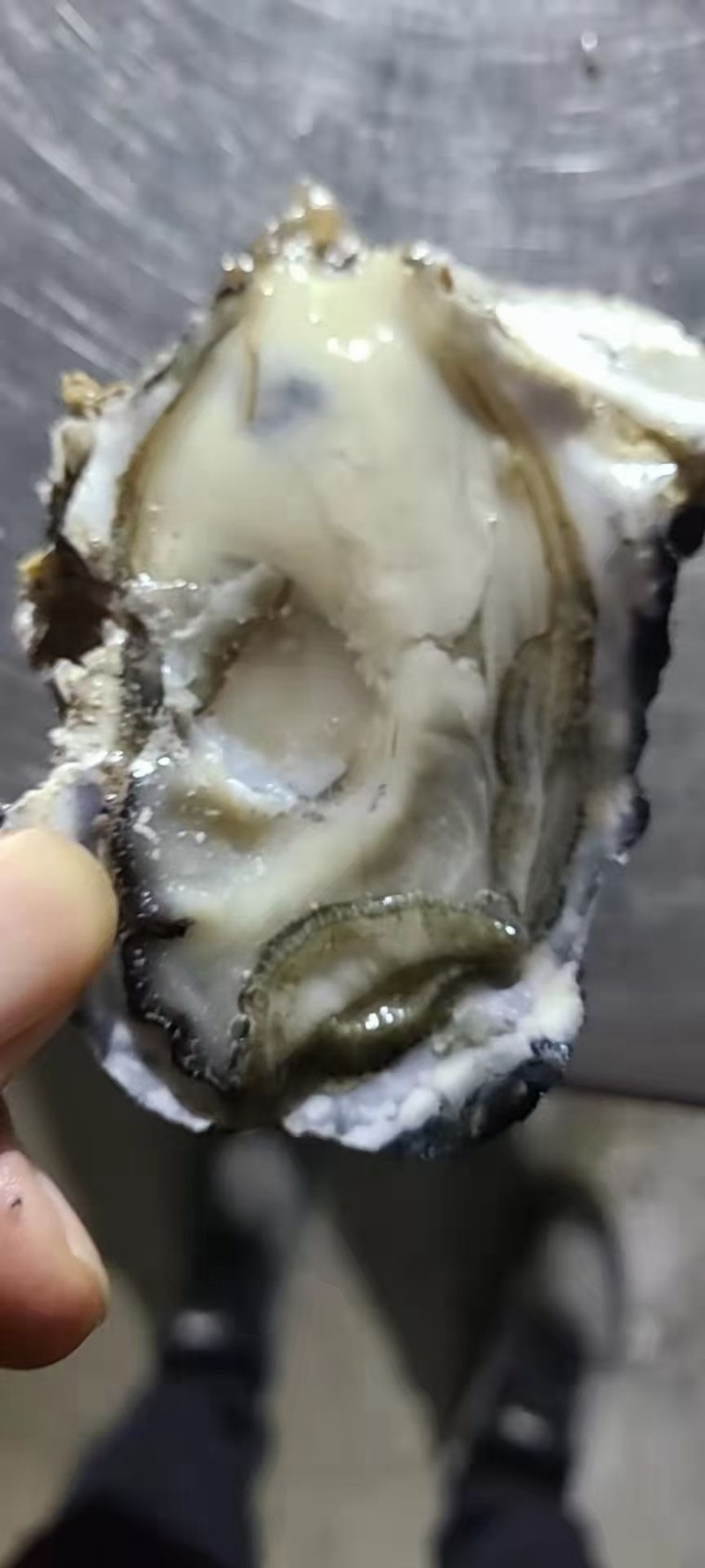 正宗乳山生蚝，肥度好，价格实惠，口感比其他产区好吃