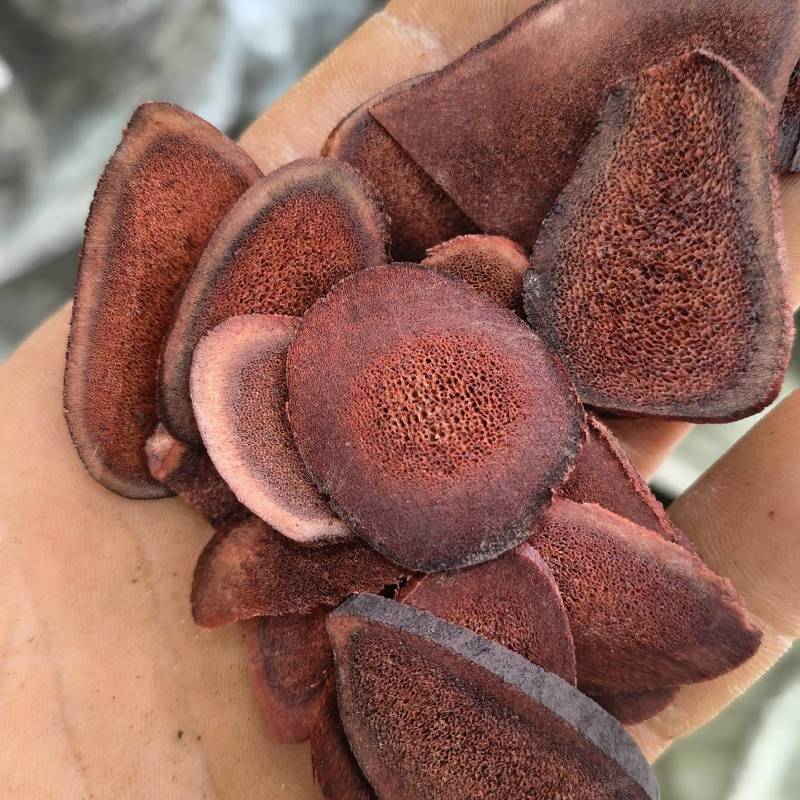 鹿茸鹿茸血片新货规格齐全关书药业