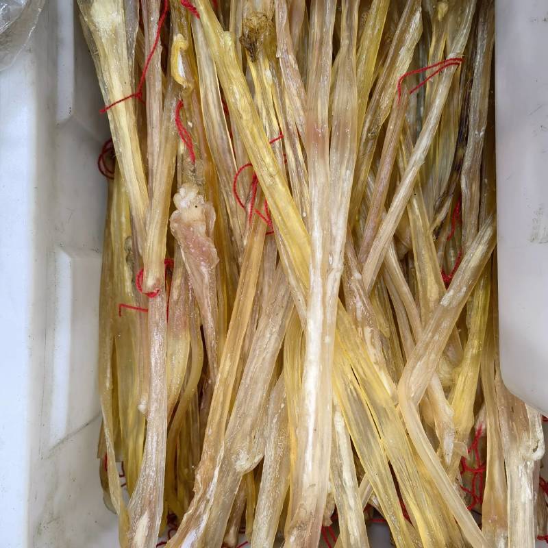 耗牛鞭青海新货关书药业