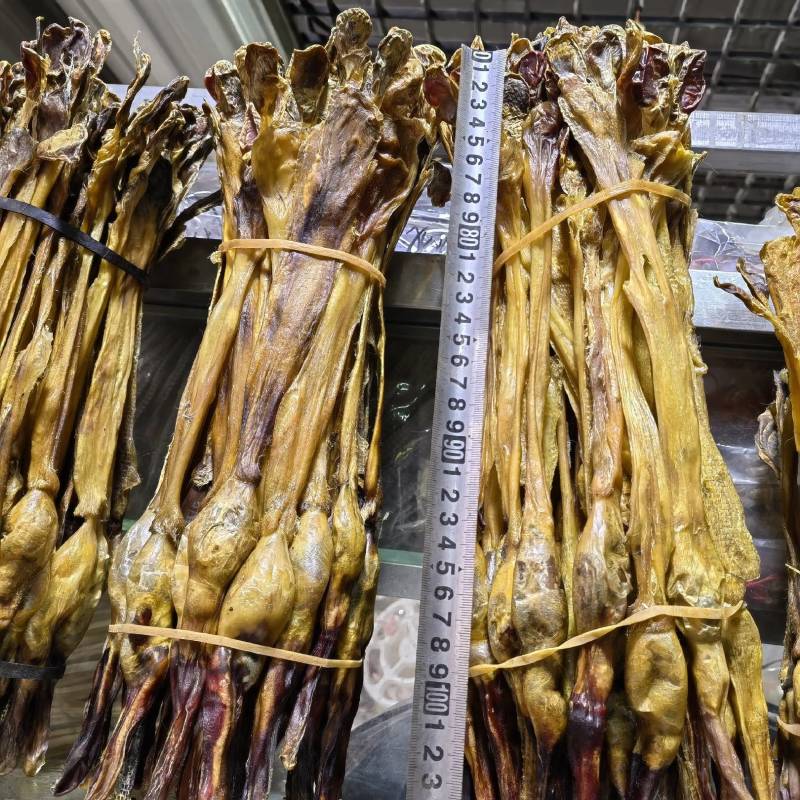 耗牛鞭青海新货关书药业