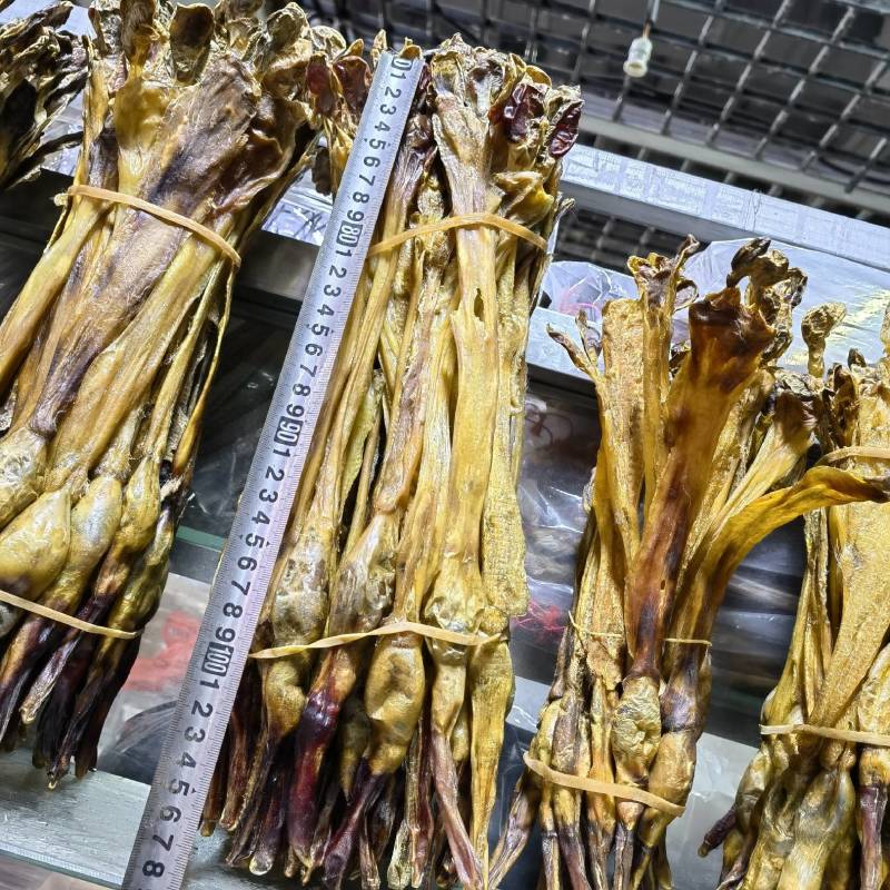 耗牛鞭青海新货关书药业