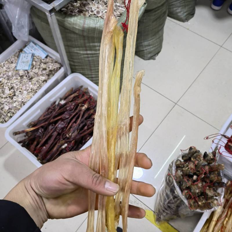 耗牛鞭青海新货关书药业