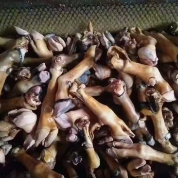 锡林郭勒大草原的，散养火燎绵羊羊蹄，好吃不贵，一手货源！