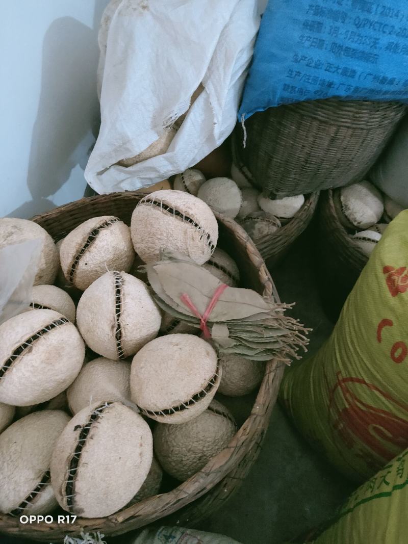 高山蒲坑茶纯手工制作柴火烘焙干