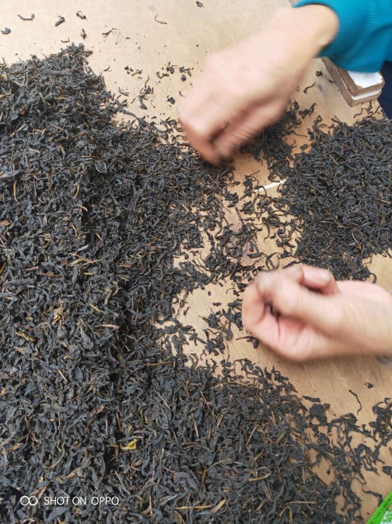 高山蒲坑茶纯手工制作柴火烘焙干