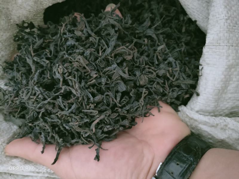 高山蒲坑茶纯手工制作柴火烘焙干