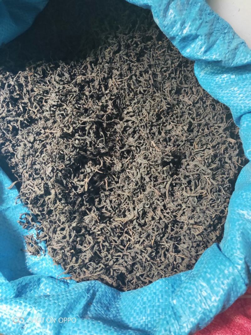 高山蒲坑茶纯手工制作柴火烘焙干