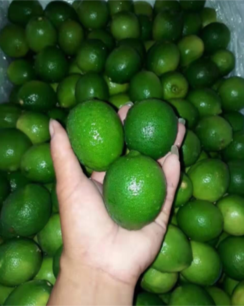 越南无籽青柠