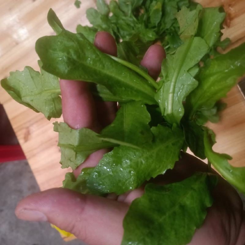 荠菜，精品荠荠菜。即将上市。