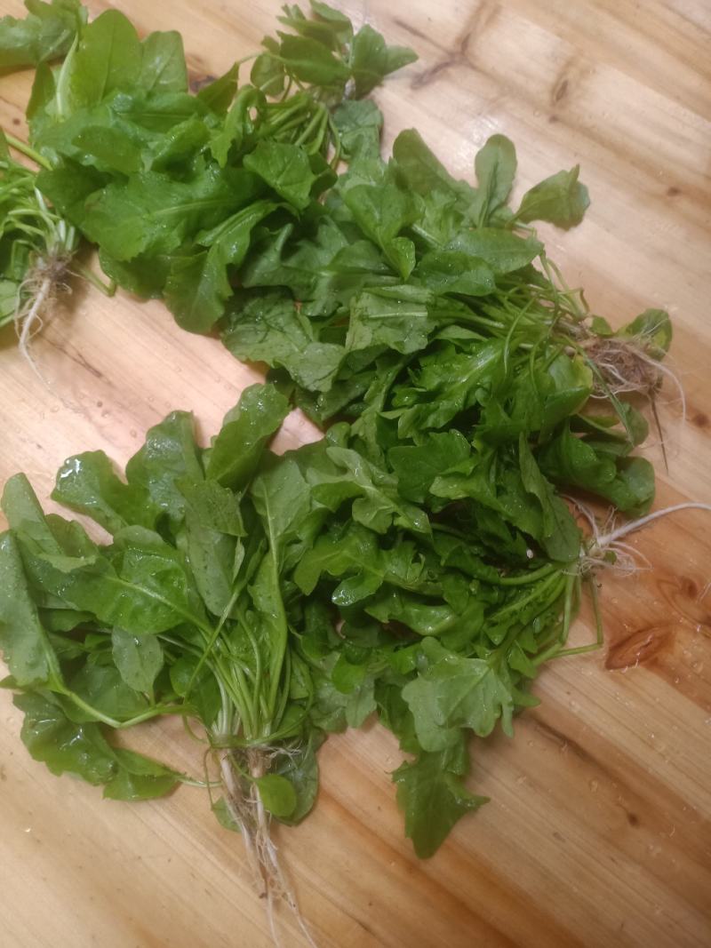 荠菜，精品荠荠菜。即将上市。
