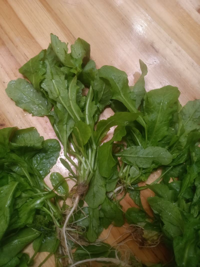 荠菜，精品荠荠菜。即将上市。