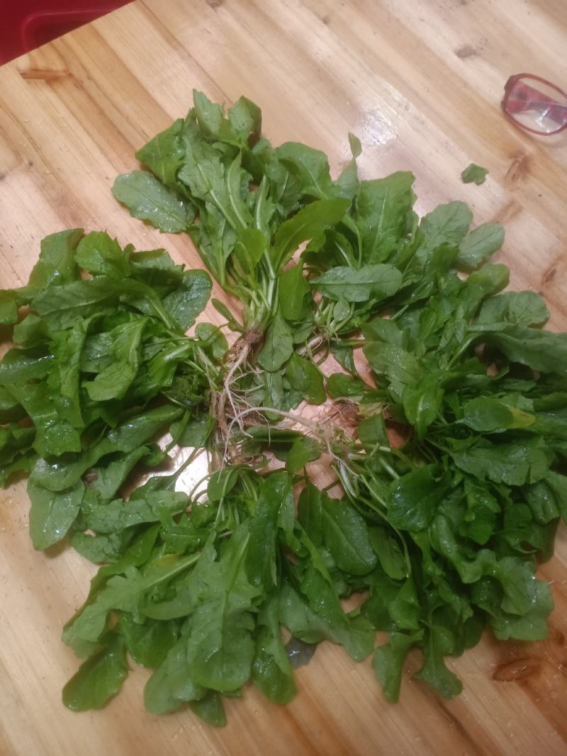荠菜，精品荠荠菜。即将上市。